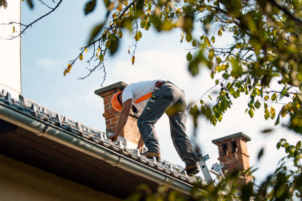 Quick and Trustworthy Emergency Roof Repair Services in Belleview, FL
